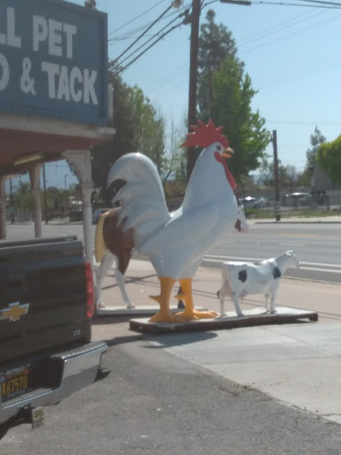 Animal Feed Store «All Pet Feed & Tack», reviews and photos, 25598 E Baseline St, San Bernardino, CA 92410, USA