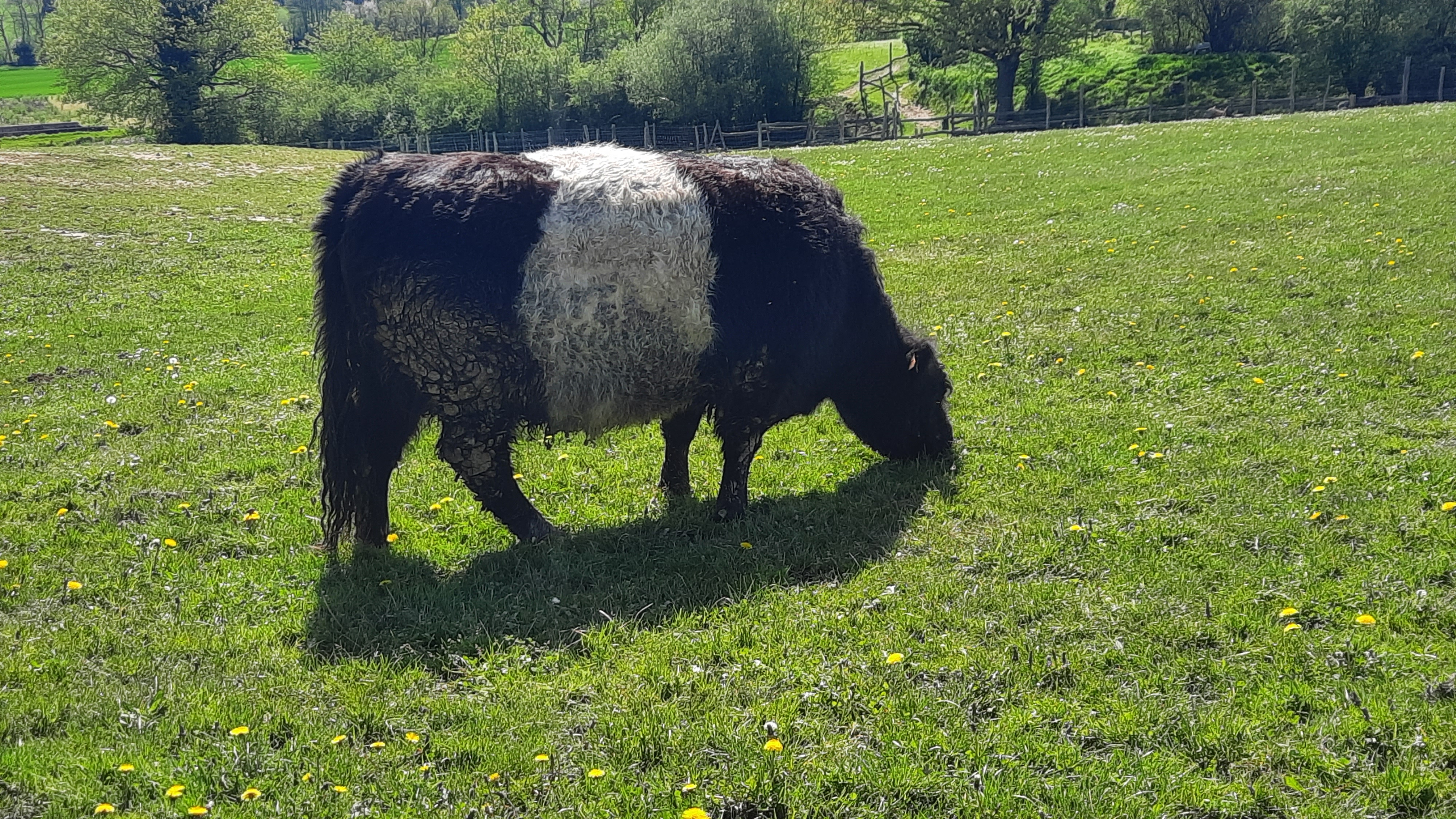 Photo n° 7 de l'avis de Hervé.r fait le 12/04/2024 à 17:56