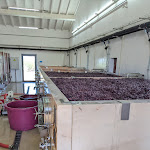 Photo n°17 de l'avis de Terence.h fait le 15/09/2023 à 14:07 sur le  Torre de Palma Wine Hotel, Monforte, a Member of Design Hotels à Vaiamonte