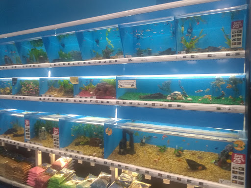 Pet Supply Store «Pet Supermarket, Inc.», reviews and photos, 18445 US-41, Lutz, FL 33549, USA