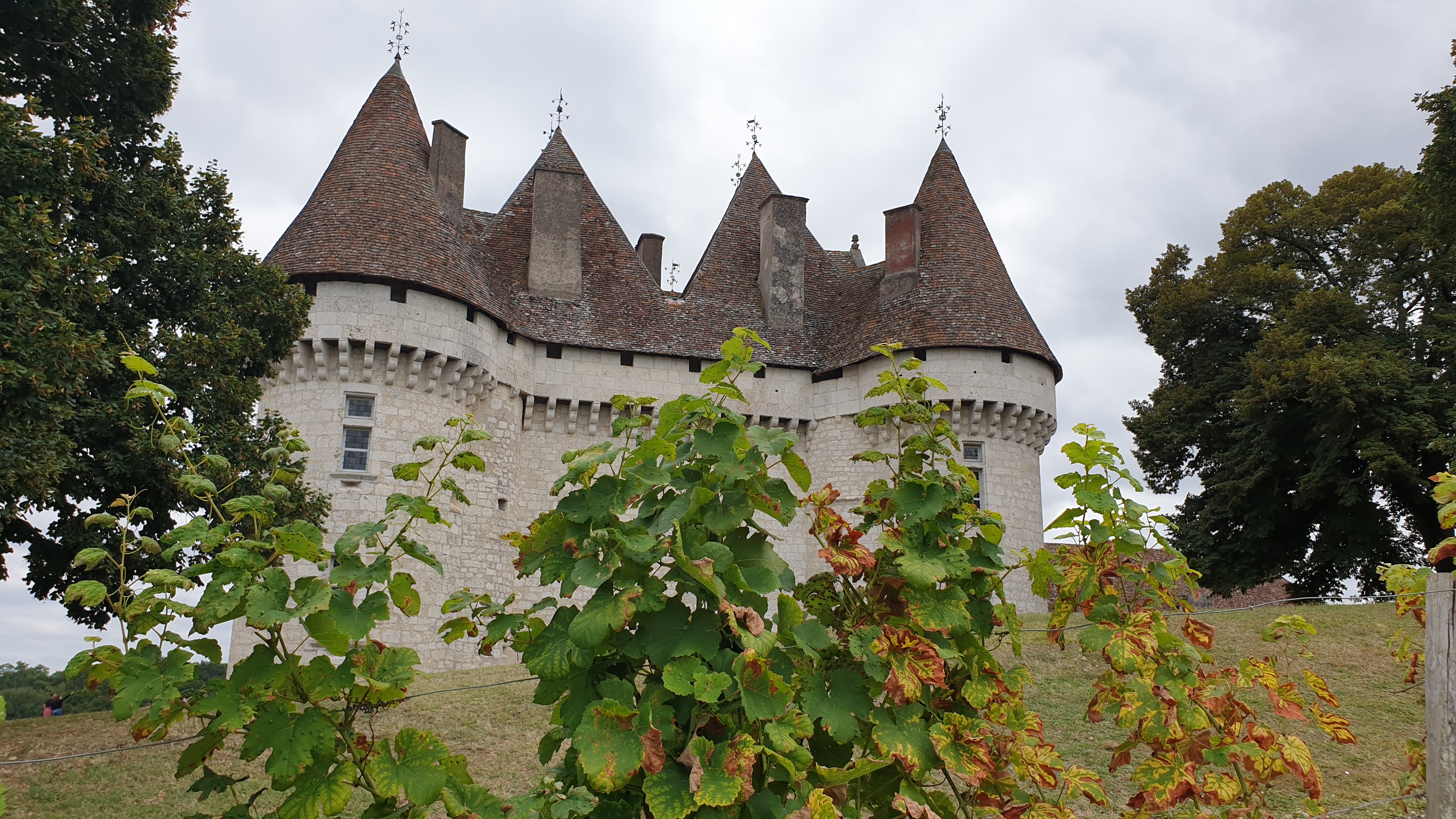 Photo n° 11 de l'avis de Rémy.' fait le 19/08/2021 à 15:14