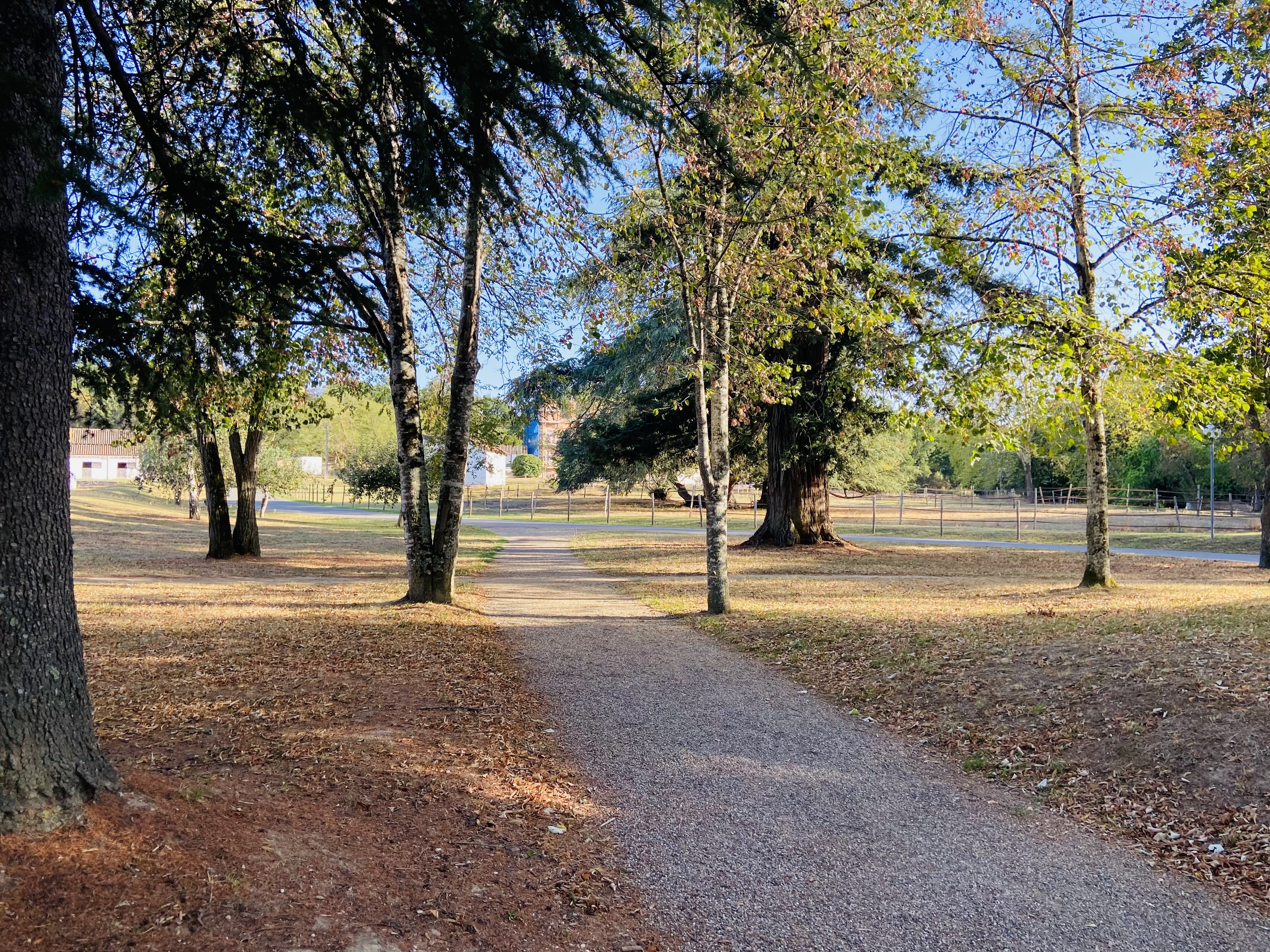 Photo n° 1 de l'avis de RAIMONDO.i fait le 06/09/2023 à 17:34