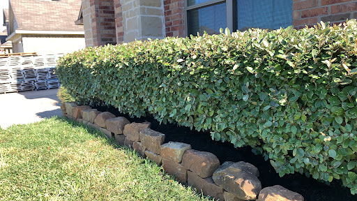 Convenience Store «Corner Store», reviews and photos, 21997 Fm 1314 Rd, Porter, TX 77365, USA