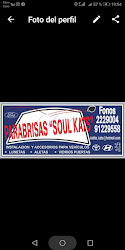 Parabrisas Soul-Kats
