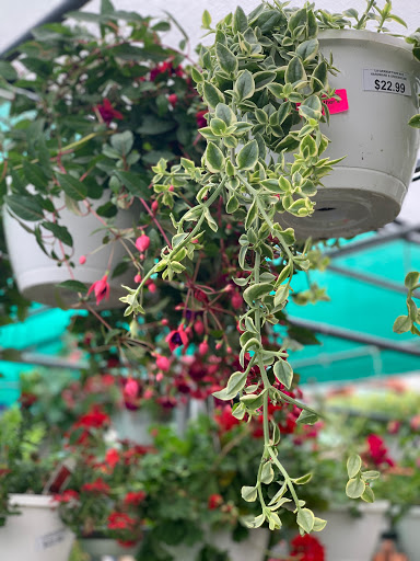 Hardware Store «La Grange Pk Ace Hardware Inc», reviews and photos, 900 E 31st St, La Grange Park, IL 60526, USA