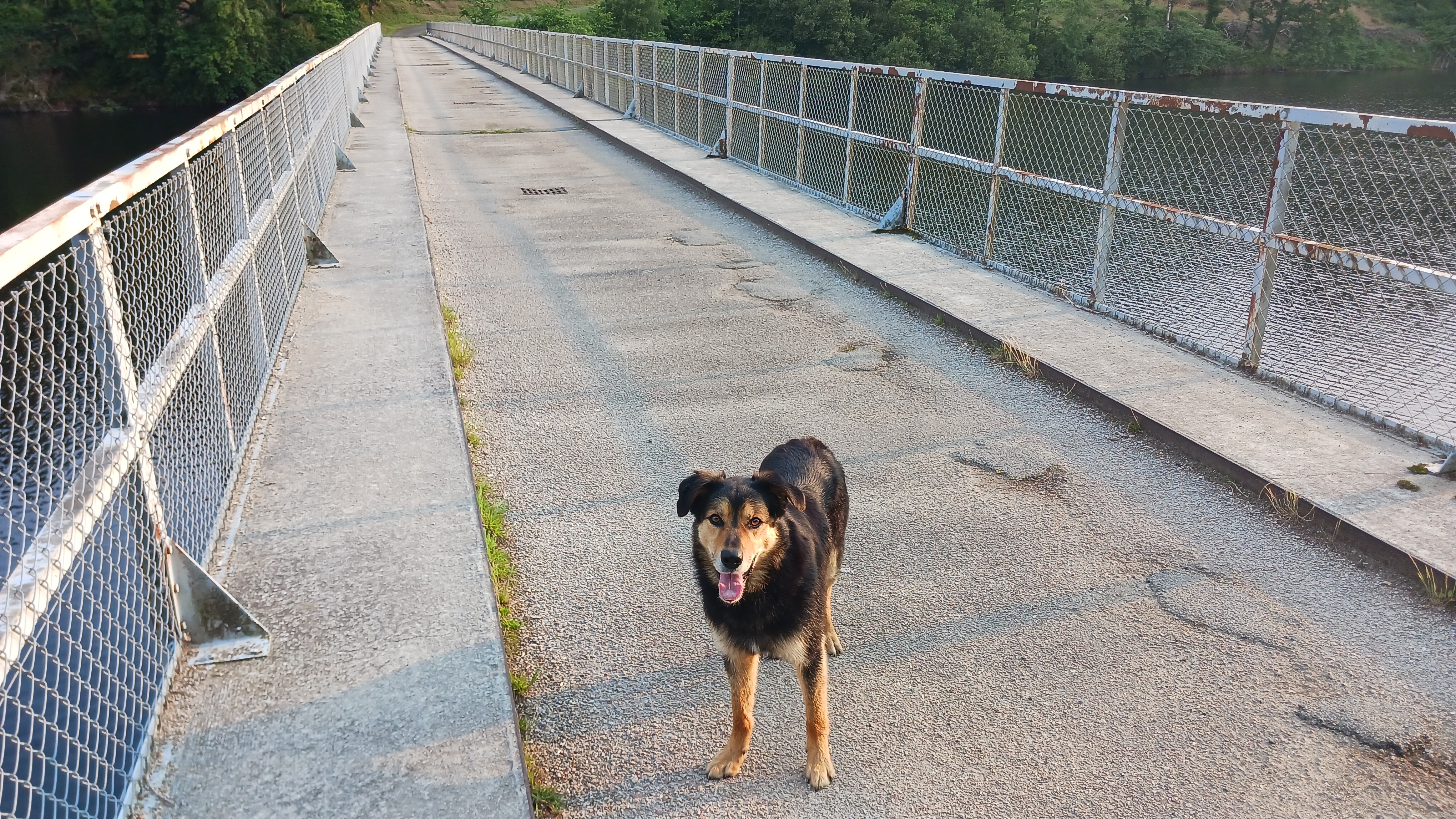 Photo n° 2 de l'avis de Shaun.a fait le 15/06/2023 à 18:43