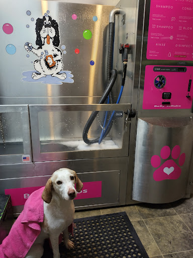 Pet Groomer «Belly scRubs Self Service Pet Wash», reviews and photos, 119 WV-34 #1, Hurricane, WV 25526, USA