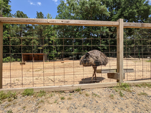 Zoo «Gators and Friends», reviews and photos, 11441 US-80, Greenwood, LA 71033, USA