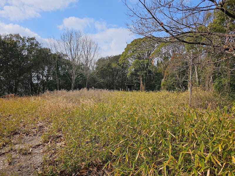 胸上城跡