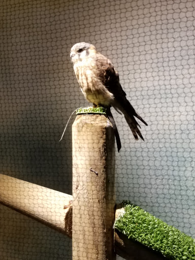 Aquarium «South Carolina Aquarium», reviews and photos, 100 Aquarium Wharf, Charleston, SC 29401, USA