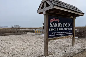 Sandy Point Bird Sanctuary image