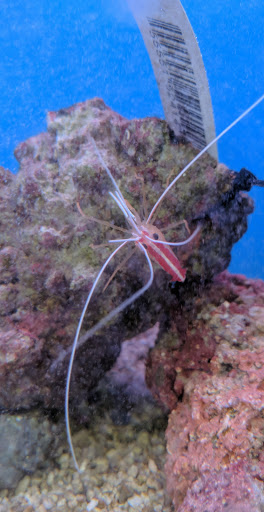 Pet Supply Store «Petco Animal Supplies», reviews and photos, 6842 S Redwood Rd, West Jordan, UT 84084, USA