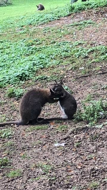 Photo n° 7 de l'avis de Caroline.e fait le 20/08/2021 à 15:40
