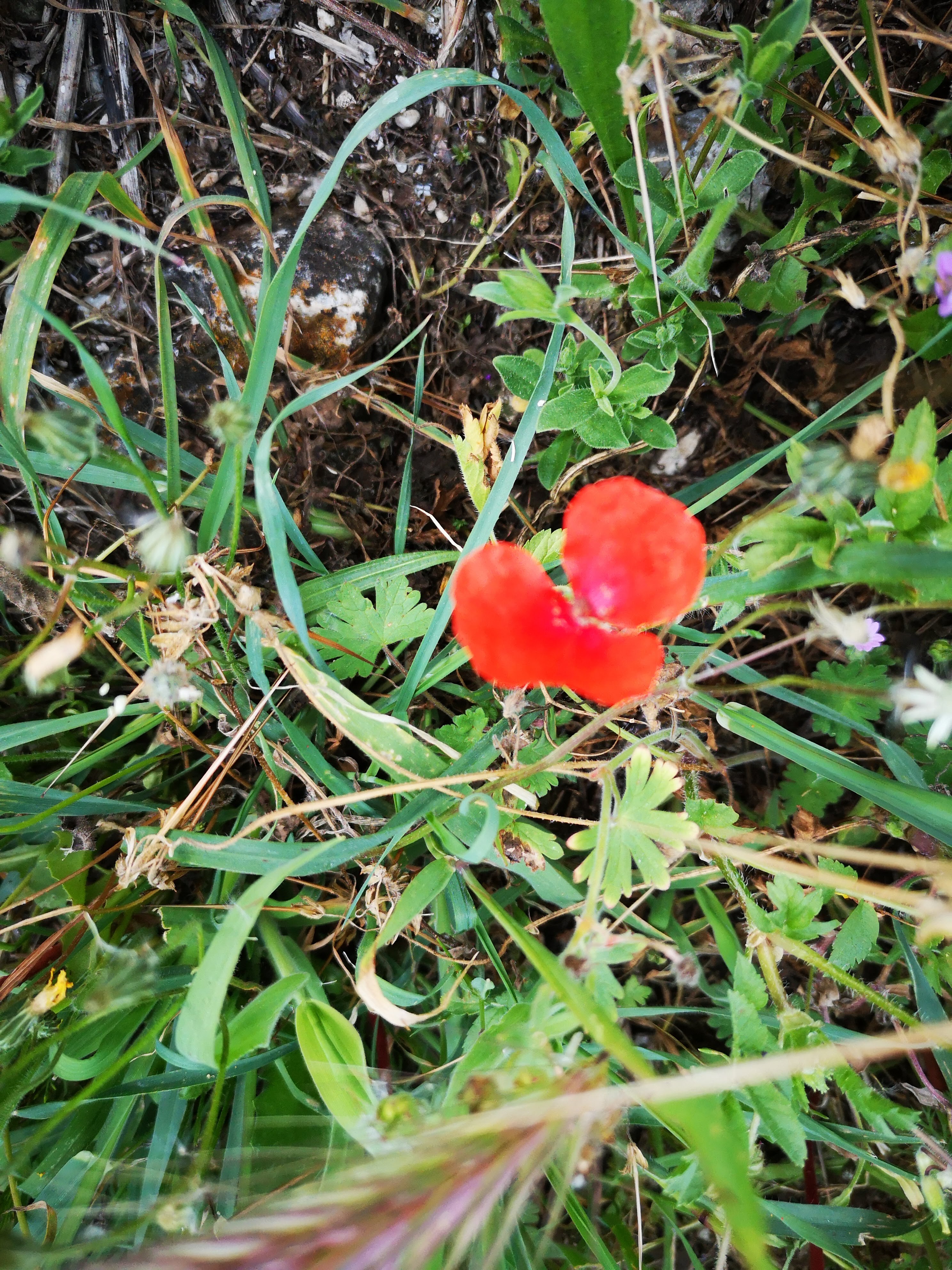 Photo n° 22 de l'avis de Maria.e fait le 19/04/2021 à 19:35