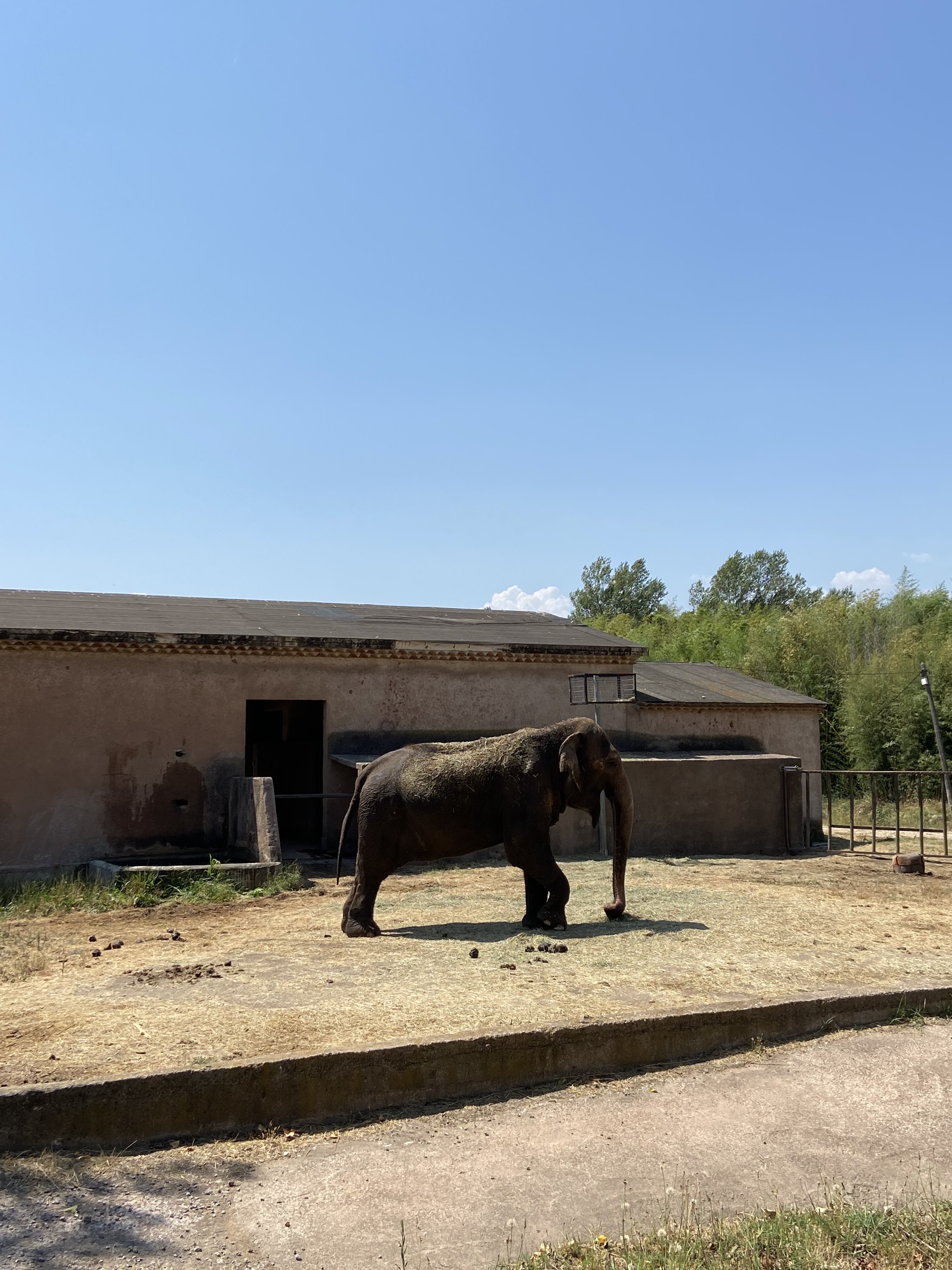 Photo n° 5 de l'avis de Julien. fait le 25/07/2021 à 15:28