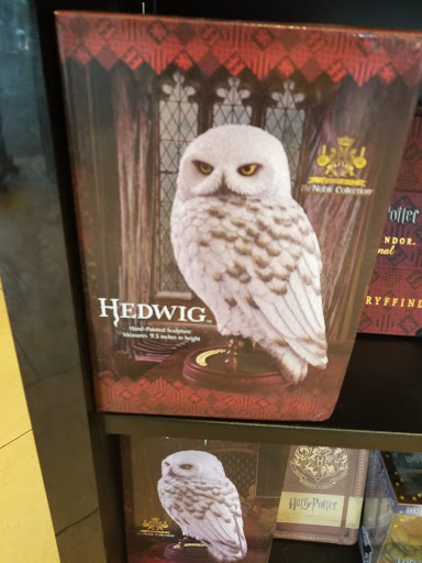 Book Store «Barnes & Noble», reviews and photos, 6501 Grape Rd #1200, Mishawaka, IN 46545, USA