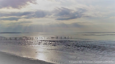 Passion Baie de Somme à Ponthoile