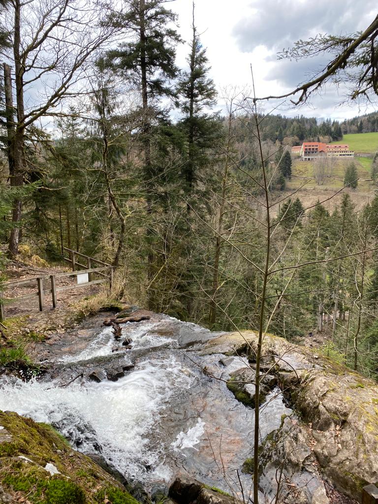 Photo n° 3 de l'avis de Arnaud.u fait le 19/04/2023 à 19:54
