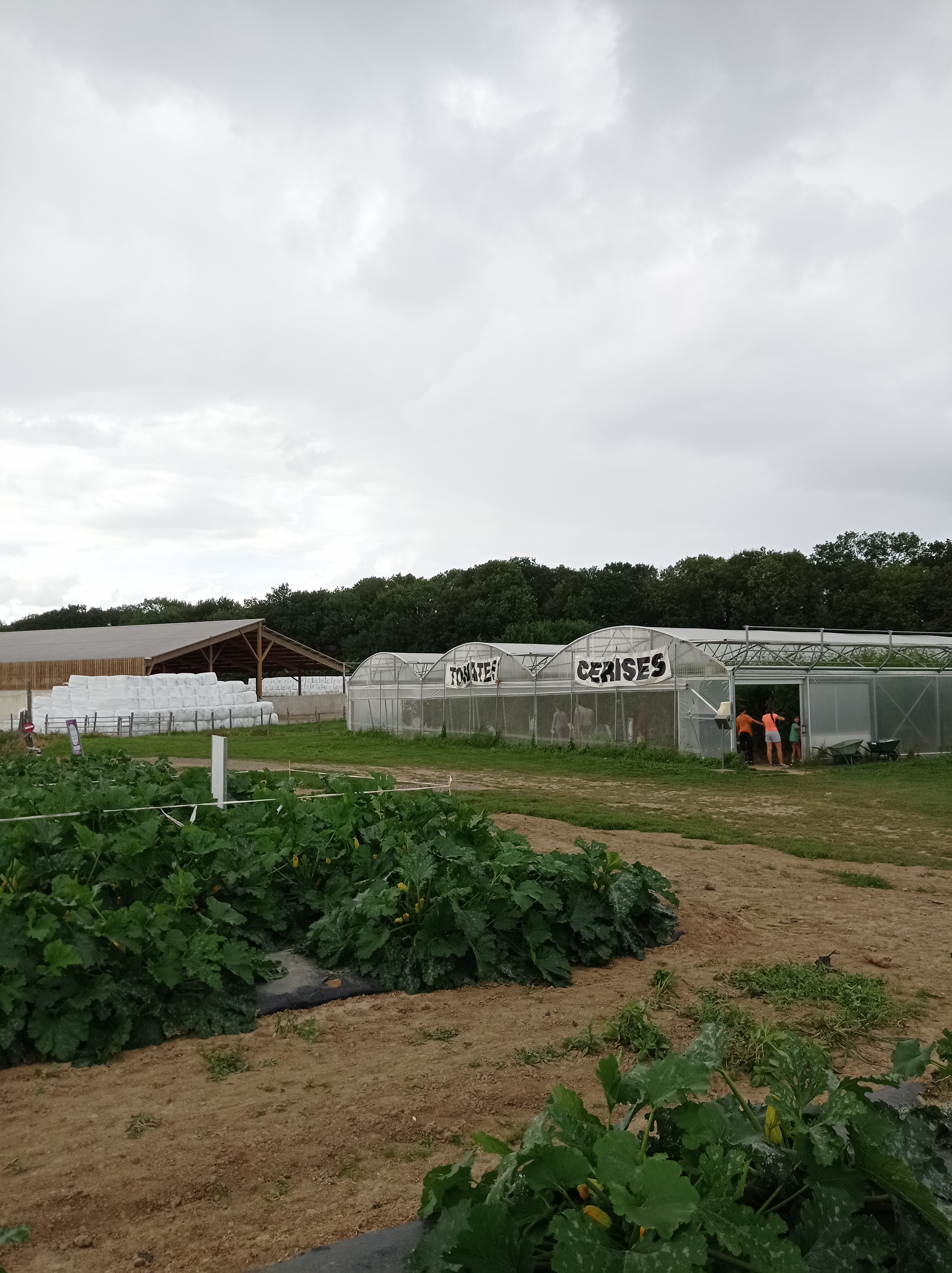 Photo n° 24 de l'avis de alexandre.u fait le 27/08/2023 à 13:21