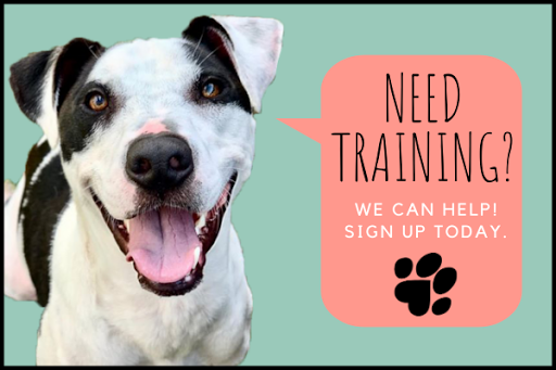 Tack Shop «J & T Country Feeds Inc», reviews and photos, 4835 W 10th St, Greeley, CO 80634, USA