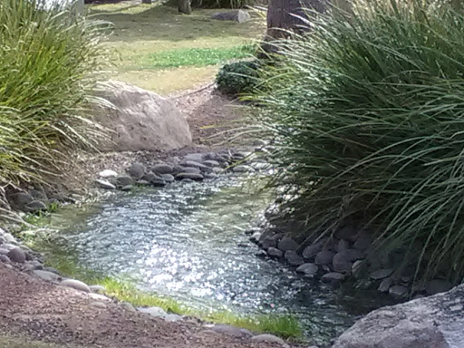 Park «Lorenzi Park», reviews and photos, 3343 W Washington Ave, Las Vegas, NV 89107, USA