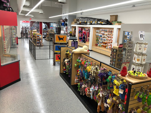 Pet Store «Animal Kingdom», reviews and photos, 5000 S Arizona Mills Cir, Tempe, AZ 85282, USA