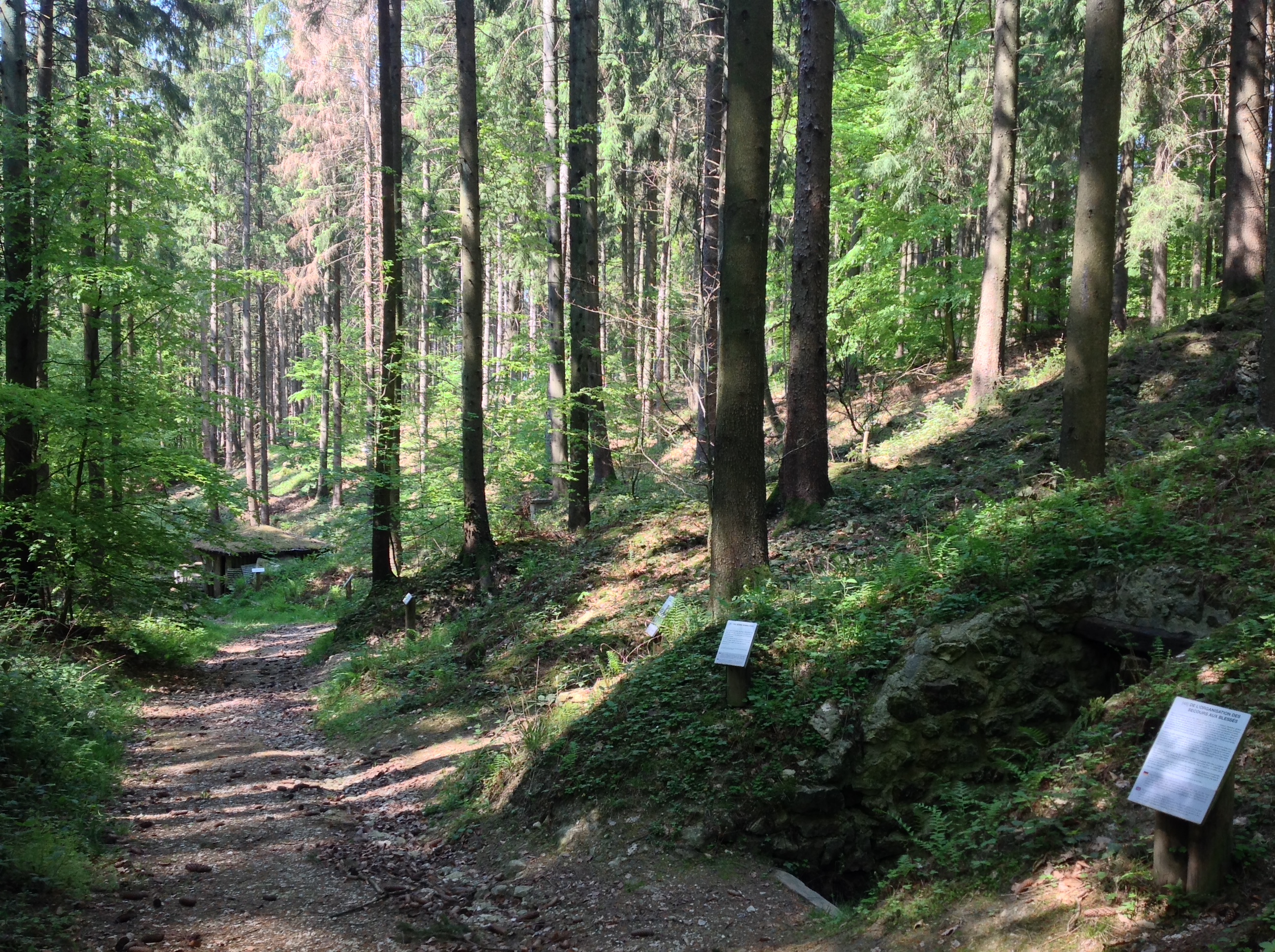 Photo n° 45 de l'avis de David.O fait le 14/06/2018 à 11:15