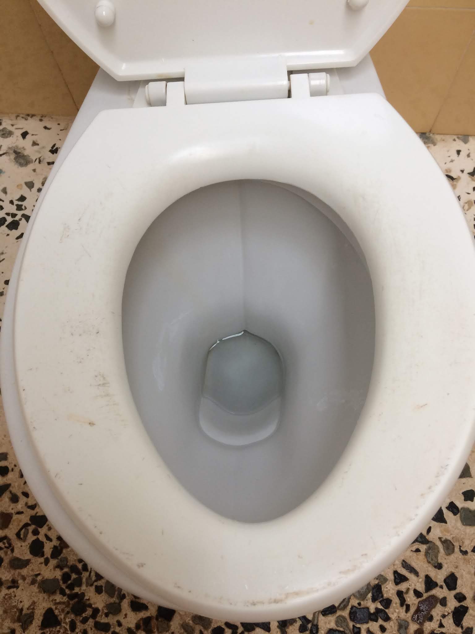 Photo n° 8 de l'avis de Franck.h fait le 25/07/2019 à 10:00