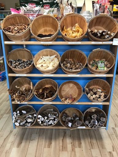 Pet Supply Store «Republic of Paws - Denver», reviews and photos, 2401 15th St #180, Denver, CO 80202, USA