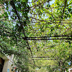 Photo n°2 de l'avis de Mimmo.o fait le 18/08/2021 à 20:22 sur le  Caffè Miron di Toma Ferruccio à Muro Leccese