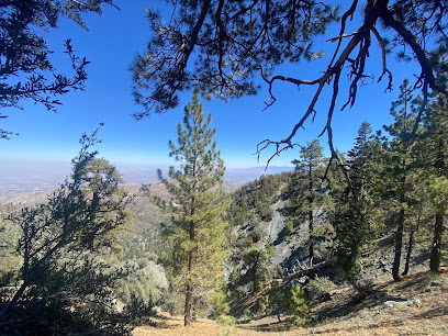 Truck trail near Wrightwood