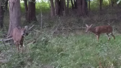 Park «Marquardt Park», reviews and photos, Brookhigh Dr, Brooklyn, OH 44144, USA