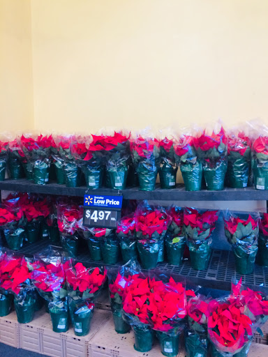 Supermarket «Walmart Neighborhood Market», reviews and photos, 2725 E McKellips Rd, Mesa, AZ 85213, USA