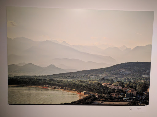 Art Museum «The Florida Museum of Photographic Arts», reviews and photos, 400 N Ashley Dr, Tampa, FL 33602, USA