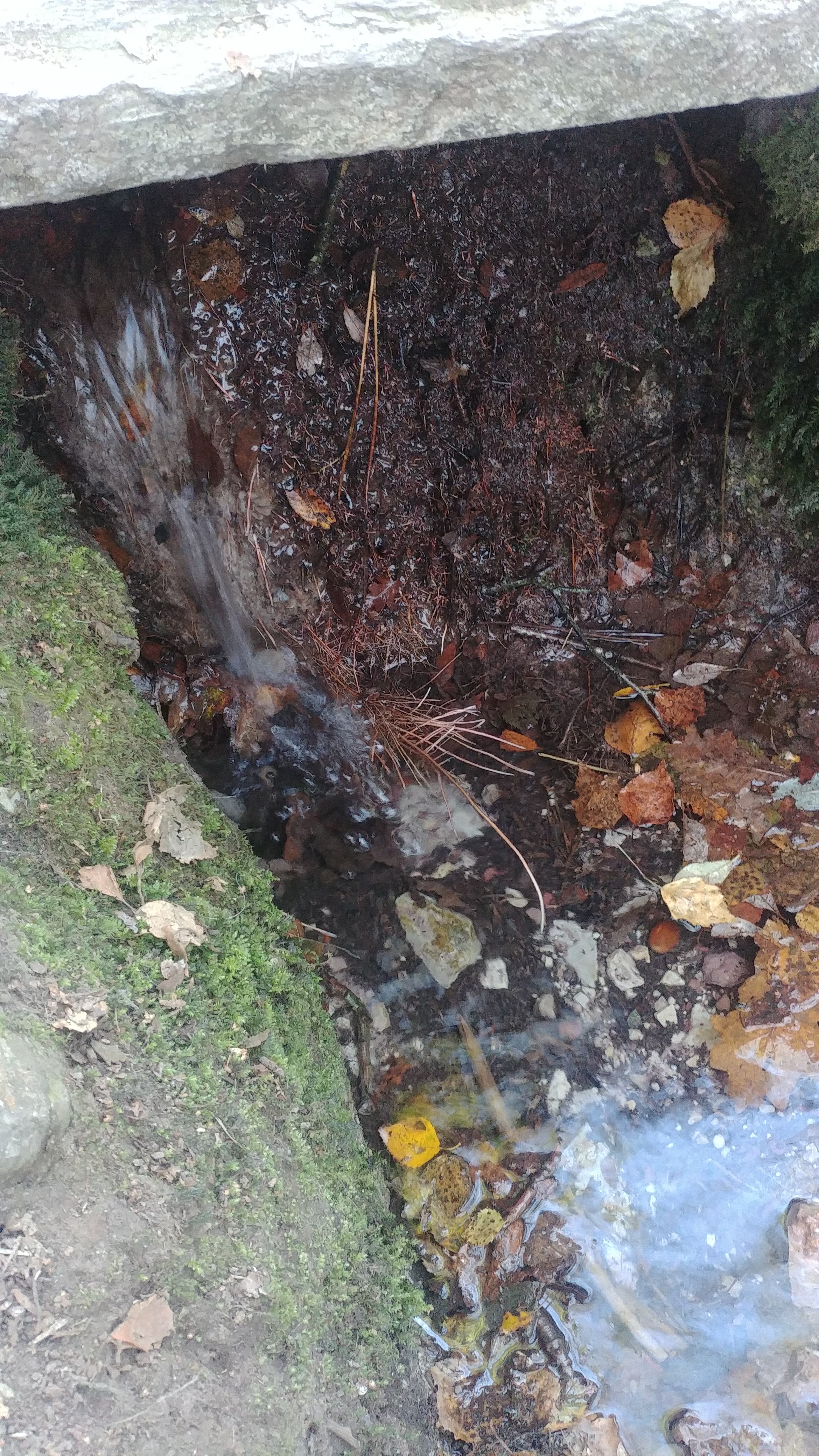Photo n° 3 de l'avis de Estelle.a fait le 05/11/2018 à 06:38