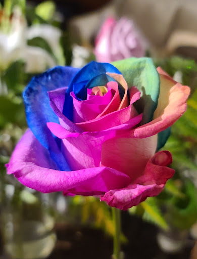 Florist «House of Flowers», reviews and photos, 650 Wood Ave, Linden, NJ 07036, USA