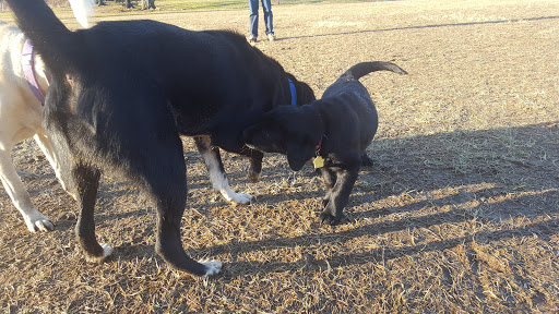 Park «Teegarden Park», reviews and photos, 440 Old State Rd, Berwyn, PA 19312, USA