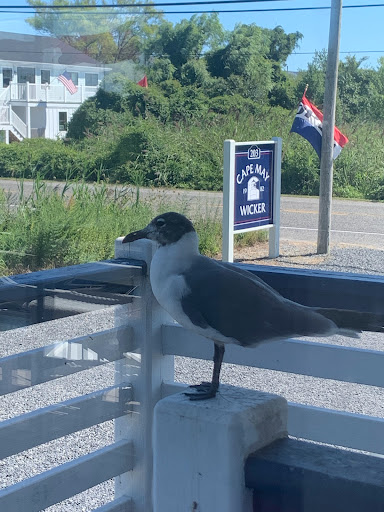 Wicker Store «Cape May Wicker», reviews and photos, 203 Sunset Blvd, West Cape May, NJ 08204, USA