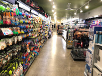 Beasty Feast - Photo 9 - Car repair in New York, NY, New York