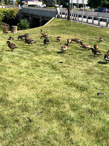 Gym «Planet Fitness», reviews and photos, 418 NJ-10, East Hanover, NJ 07936, USA