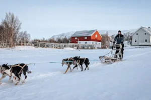 Team Lyngen Tours image