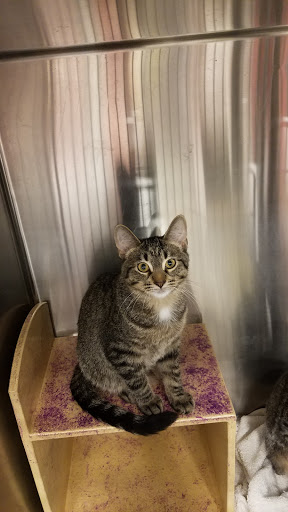 Pet Supply Store «PetSmart», reviews and photos, 8460 Tamarack Village, Woodbury, MN 55125, USA