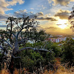 Photo n°2 de l'avis de fernando.i fait le 02/10/2020 à 00:10 sur le  Encosta da Muralha à Castelo Branco