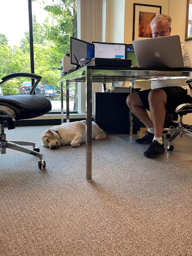 Insurance Agency «Gunnar Olson - State Farm Insurance Agent», reviews and photos