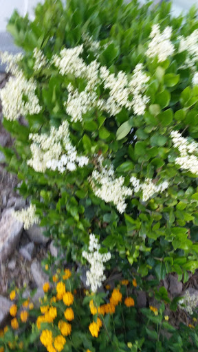 Pet Supply Store «Petco Animal Supplies», reviews and photos, 3577 S Rainbow Blvd, Las Vegas, NV 89103, USA