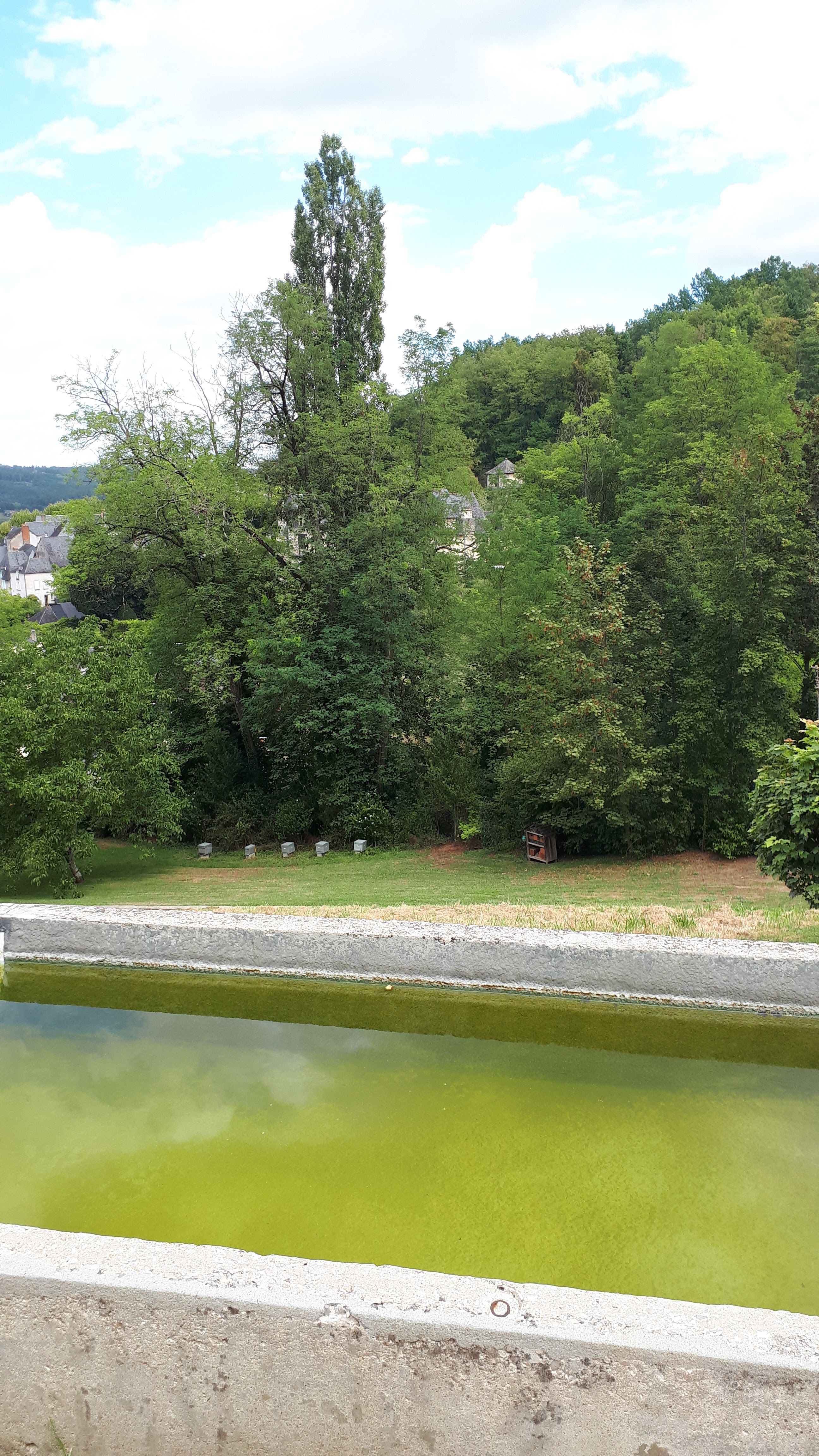 Photo n° 43 de l'avis de Cécile.i fait le 22/08/2020 à 17:28