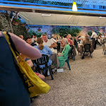 Photo n°9 de l'avis de Gleb.a fait le 08/06/2023 à 22:01 sur le  Trattoria-Pizzeria All'Anfora à Venice