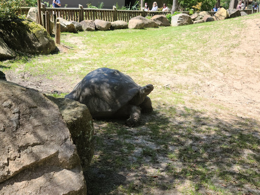 Zoo «Riverbanks Zoo and Garden», reviews and photos, 500 Wildlife Pkwy, Columbia, SC 29210, USA