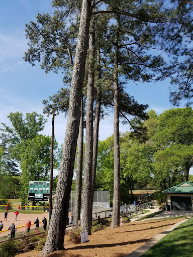 Park «Chastain Memorial Park», reviews and photos, 140 W Wieuca Rd NW, Atlanta, GA 30342, USA