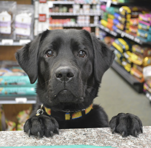 Pet Supply Store «The Natural Pet Enrichment Center», reviews and photos, 6720 Royalton Rd, North Royalton, OH 44133, USA